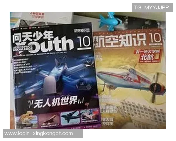 2026年3月份新闻极限运动爱好者必看的防护垫选购指南与推荐技巧